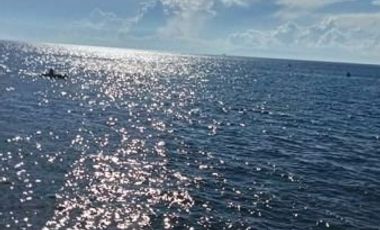 2,760 SQM BEACH LOT FOR SALE IN CAMOTES ISLAND, CEBU
