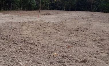 Tanah Strategis Bojong Pekalongan, SHM Pekarangan, Harga 800 Rb-an