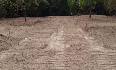 Tanah Strategis Bojong Pekalongan, SHM Pekarangan, Harga 800 Rb-an