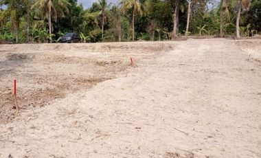 Tanah Strategis Bojong Pekalongan, SHM Pekarangan, Harga 800 Rb-an