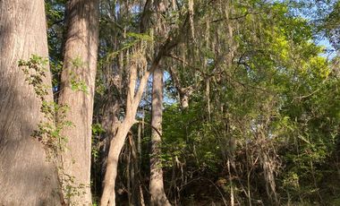 FINCA EN VENTA EN LINARES, NUEVO LEÓN