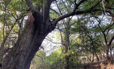 FINCA EN VENTA EN LINARES, NUEVO LEÓN
