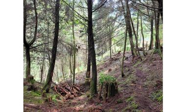 Venta de Lote en el Retiro