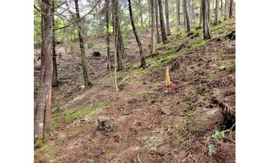 Venta de Lote en el Retiro