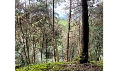 Venta de Lote en el Retiro