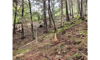 Venta de Lote en el Retiro