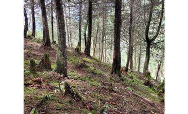 Venta de Lote en el Retiro