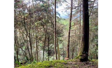 Venta de Lote en el Retiro