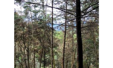 Venta de Lote en el Retiro