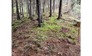 Venta de Lote en el Retiro