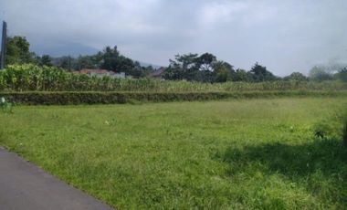 Tanah Bogor 100 Juta-an Area Wisata Lereng Gunung Salak