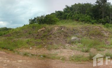 Land for sale in Sala Dan, Krabi