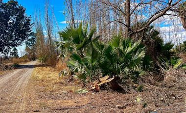 VENTA TERRENO EN LAS PRIMAVERAS, CORRALITOS