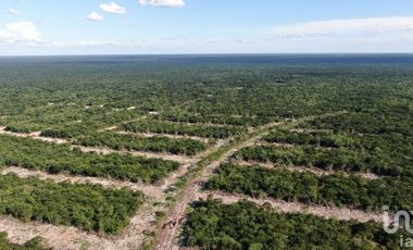 VENTA DE TERRENO SEMI URBANIZADO CARRETERA CHICXULUB PUERTO MERIDA YUCATAN