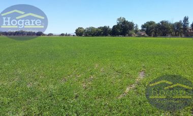 Terreno en venta 10 hectáreas fraccionamiento ex hacienda de Santa Rosa  Plan de ayala