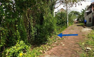 DIJUAL TANAH VETERAN SELEM BUDUK MENGWI BADUNG, BALI