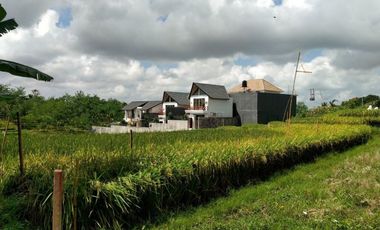 DIJUAL TANAH VETERAN SELEM BUDUK MENGWI BADUNG, BALI