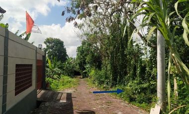 DIJUAL TANAH VETERAN SELEM BUDUK MENGWI BADUNG, BALI