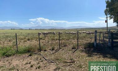 Campo en venta de 3500000m2 ubicado en Sierra de la Ventana