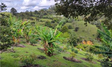Finca En Marinilla Vereda El Pozo
