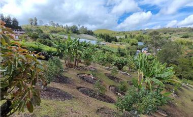 Finca En Marinilla Vereda El Pozo