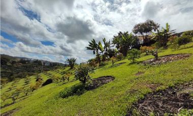 Finca En Marinilla Vereda El Pozo