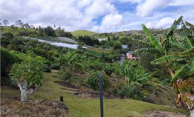 Finca En Marinilla Vereda El Pozo