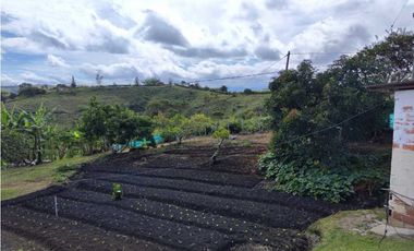 Finca En Marinilla Vereda El Pozo