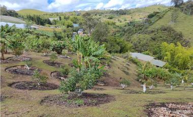 Finca En Marinilla Vereda El Pozo