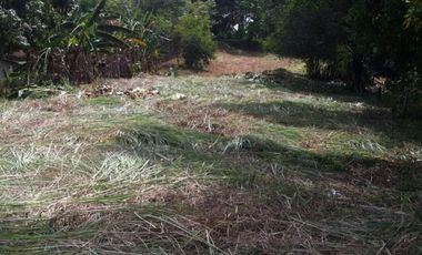 VENTA TERRENO CHILIBRE