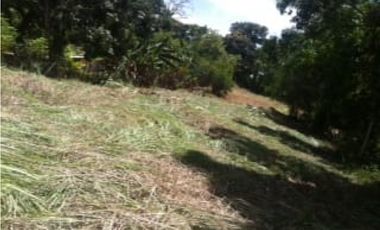 VENTA TERRENO CHILIBRE