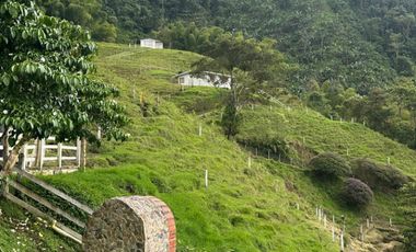 finca en arriendo en vereda planadas. Cod A7344827