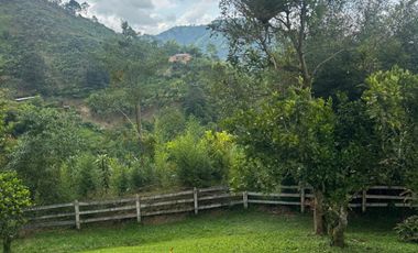 finca en arriendo en vereda planadas. Cod A7344827