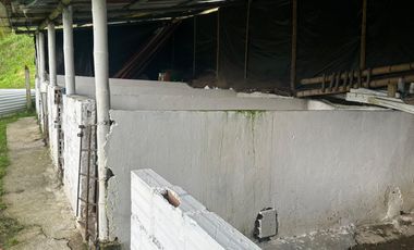 finca en arriendo en vereda planadas. Cod A7344827