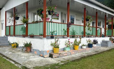 finca en arriendo en vereda planadas. Cod A7344827