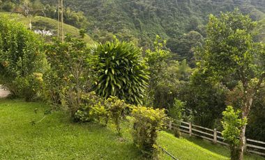 finca en arriendo en vereda planadas. Cod A7344827