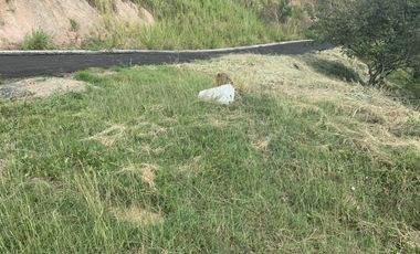 lote en venta en parcelación campestre laguna seca. Cod V107646