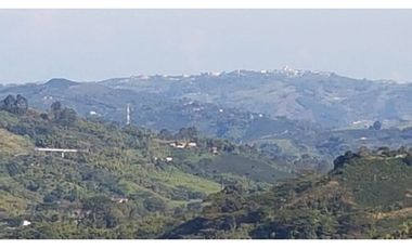SE VENDE FINCA EN SANTA ROSA VEREDA GUACAS