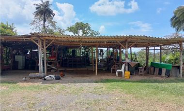 SE VENDE FINCA EN SANTA ROSA VEREDA GUACAS