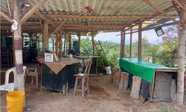 SE VENDE FINCA EN SANTA ROSA VEREDA GUACAS