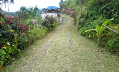 SE VENDE FINCA EN SANTA ROSA VEREDA GUACAS