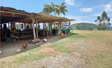 SE VENDE FINCA EN SANTA ROSA VEREDA GUACAS