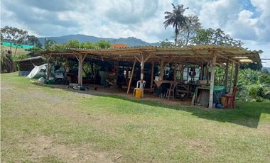 SE VENDE FINCA EN SANTA ROSA VEREDA GUACAS