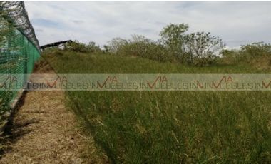 Renta Terreno Industrial Buena Vista En Allende