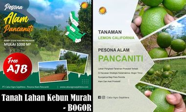 Tanah Murah Bogor Info Lanjut WA : 08141356----