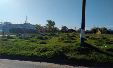 LATORRE PROP VENDE  11 LOTES DE TERRENOS JUNTOS O SEPARADOS