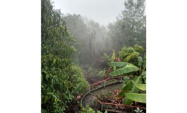 VENTA DE LOTE  EN SAN ANTONIO DE TEQUENDAMA