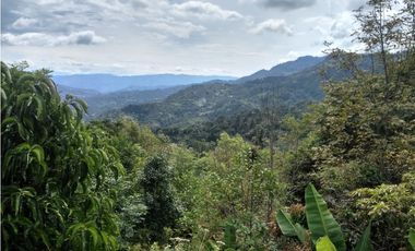 VENTA DE LOTE  EN SAN ANTONIO DE TEQUENDAMA