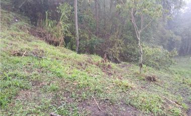 VENTA DE LOTE  EN SAN ANTONIO DE TEQUENDAMA