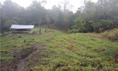 VENTA DE LOTE  EN SAN ANTONIO DE TEQUENDAMA